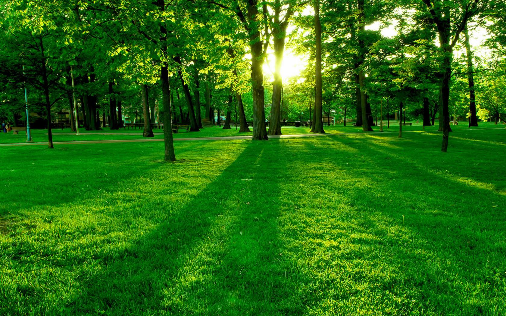 世界举重青训康复器械使用规范发布,举重运动员辅助训练